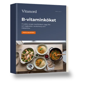 B-vitaminköket, gratis e-bok