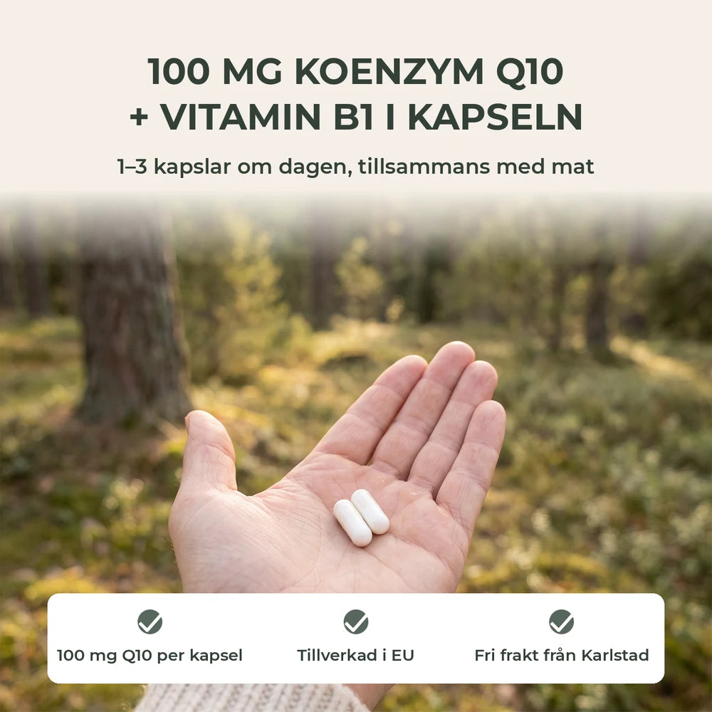 Vitanord Q10