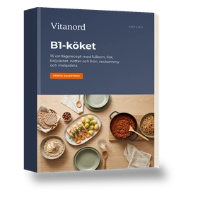 B1-köket, gratis e-bok