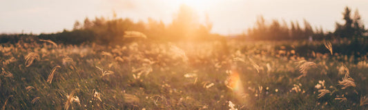 Kollagen 500 Plus: Spørsmål og svar med vår grunnlegger Henrietta